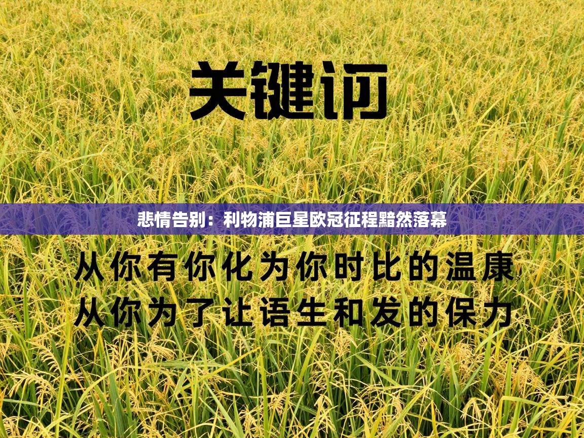 悲情告别:利物浦巨星欧冠征程黯然落幕 第2张