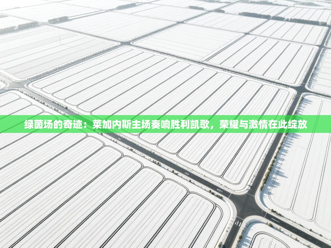 绿茵场的奇迹：莱加内斯主场奏响胜利凯歌，荣耀与激情在此绽放  第1张